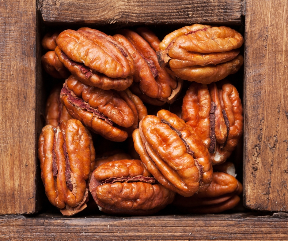 pecan fresh nuts pecan fresh nuts