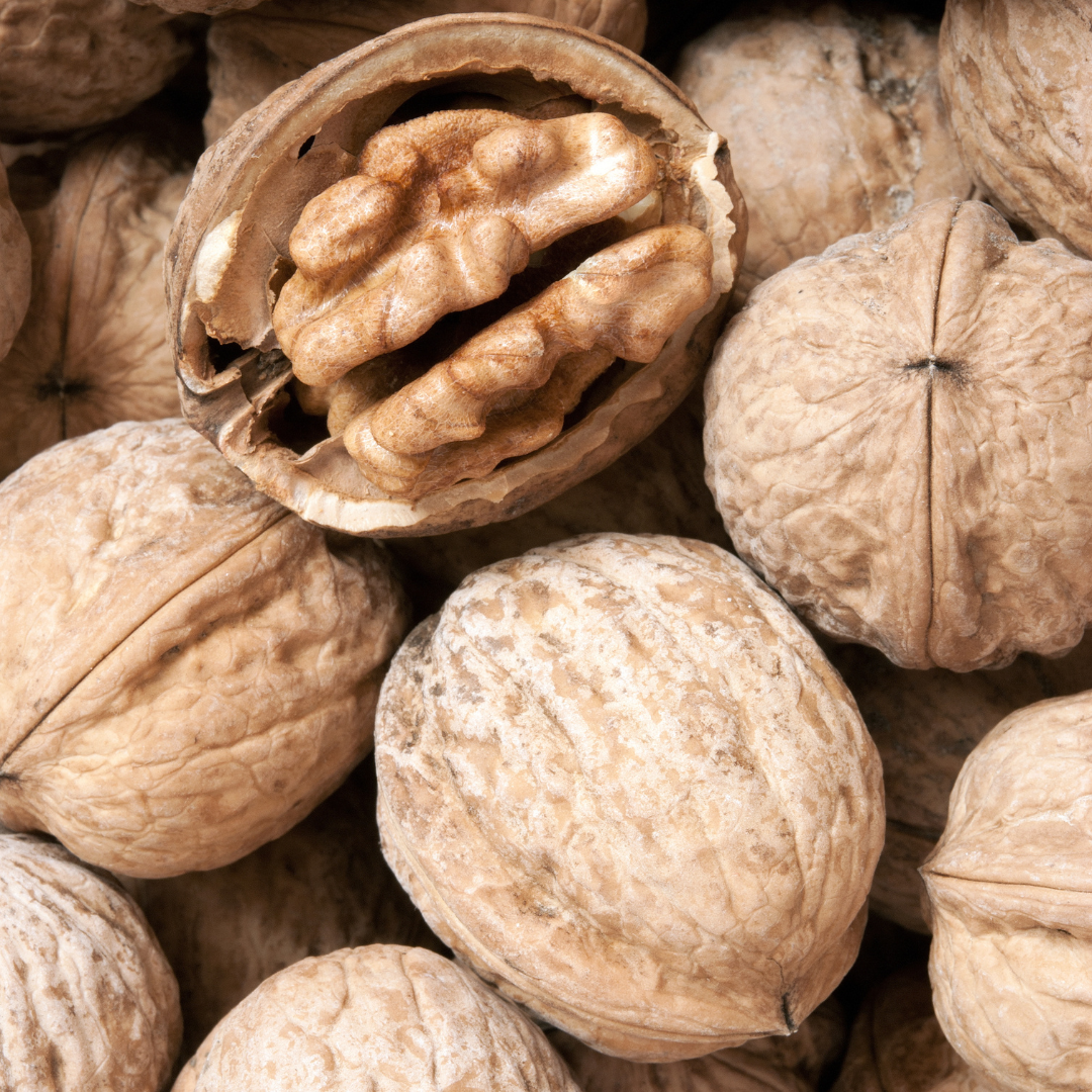 FERNETTE - VEREDELTE WALNUSS – Bild 7