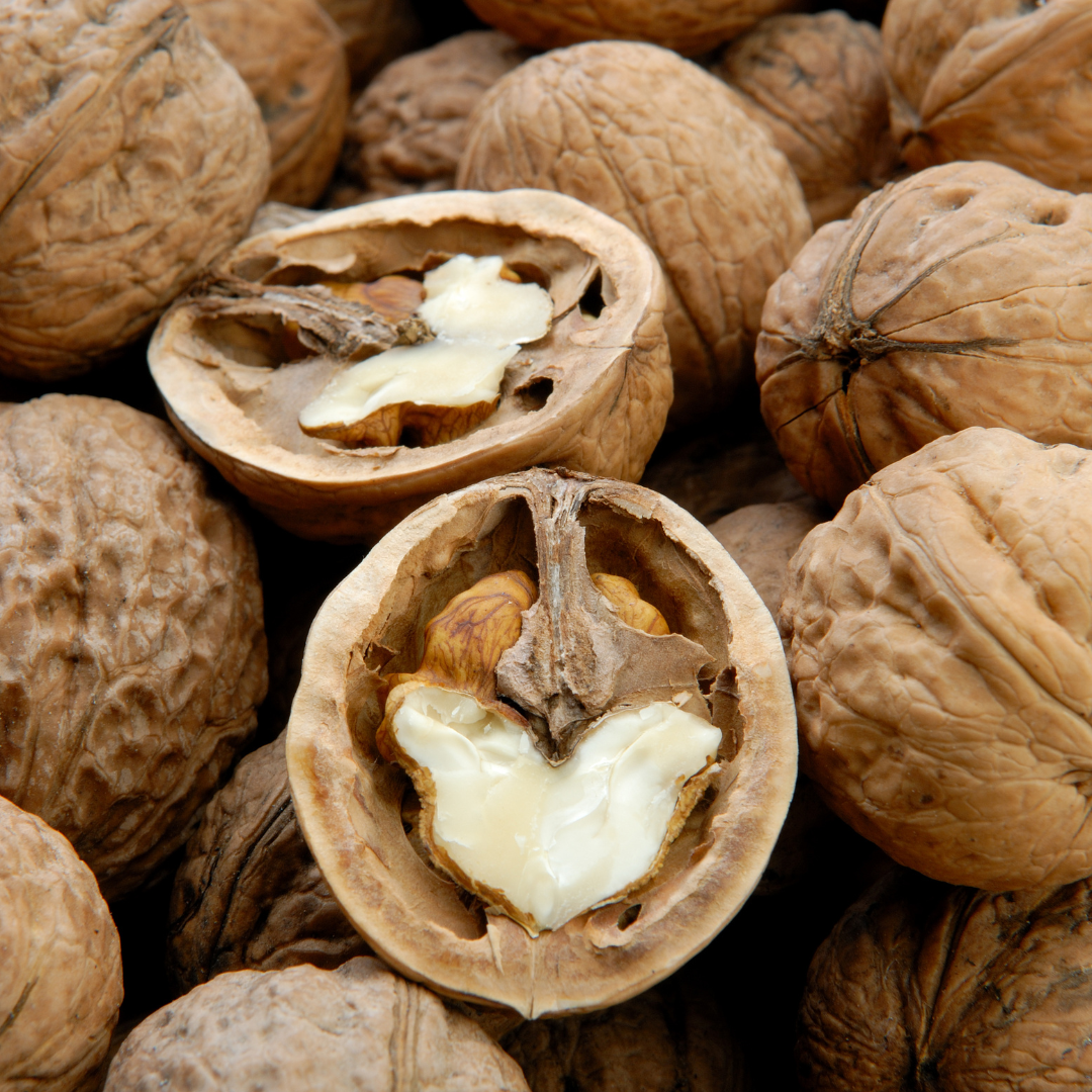 FERNOR - VEREDELTE WALNUSS – Bild 7