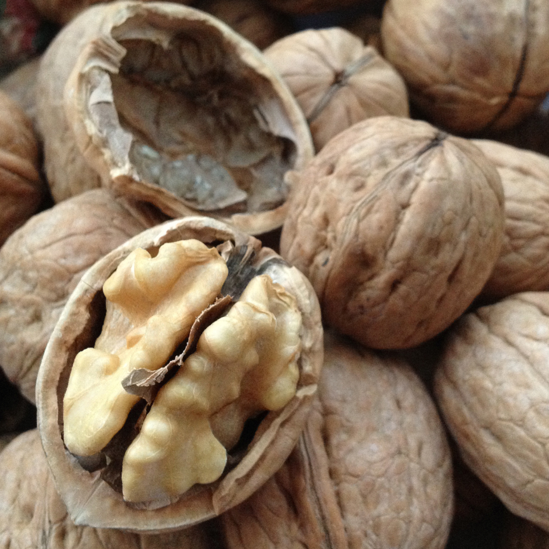 TULARE - VEREDELTE WALNUSS – Bild 7