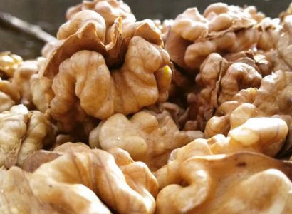 TULARE - VEREDELTE WALNUSS – Bild 5