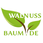 Untitled (1350 x 1080 px) (1)